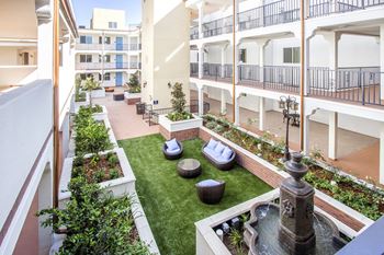 Courtyard garden